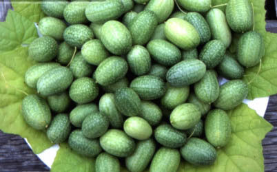 Cucamelon 'Marble' / 'Sandia'