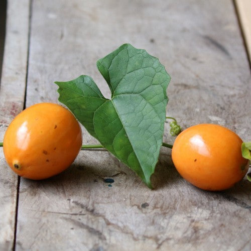 Passion fruit