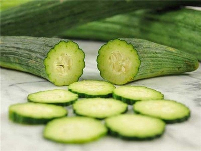 Melon Cucumber 'Tortarello Barese Dark Green'