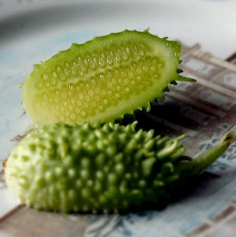 oeraugurkje 'West India(n) Burr Gherkin'