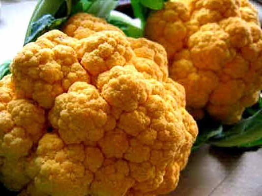 Cauliflower 'Cheddar' F1 / 'Sunset' F1