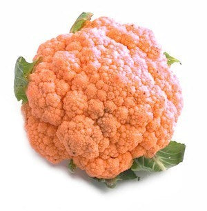 Cauliflower 'Cheddar' F1 / 'Sunset' F1