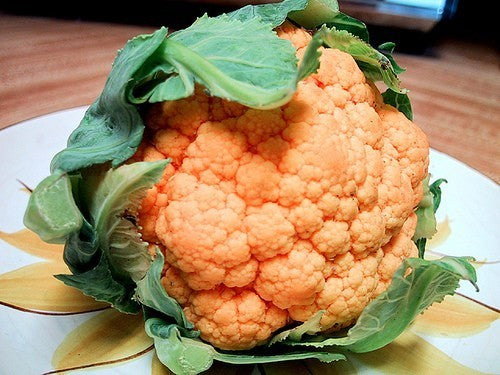 Cauliflower 'Cheddar' F1 / 'Sunset' F1