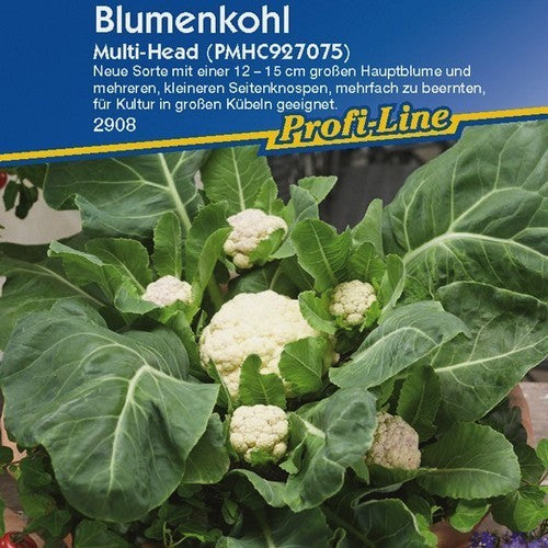 Cauliflower 'Multi-Head' F1