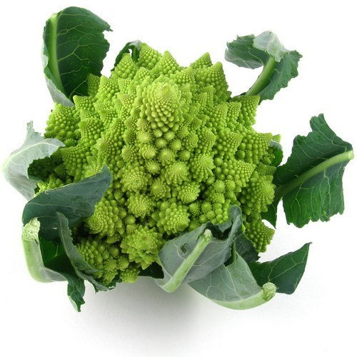 Bloemkool (Romanescotype) 'Veronica' F1 (Romanescotype)