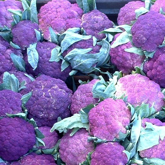 Cauliflower 'Violetto di Sicilia' / 'di Sicilia Violetto'