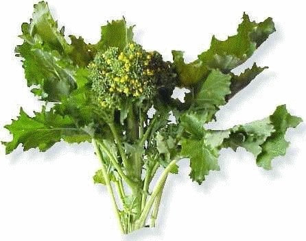 Broccoletto 'Sessantina'