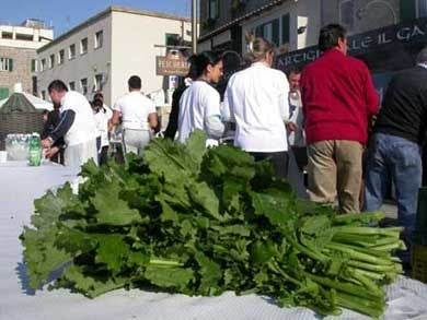 Broccoletto 'Sessantina'