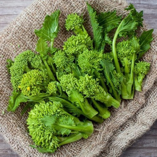 Broccoletto 'Sessantina'
