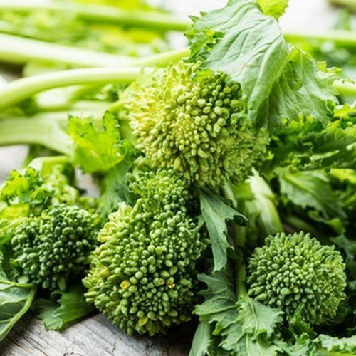 Broccoletto 'Sessantina'