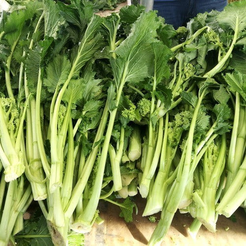 Broccoletto 'Sessantina'