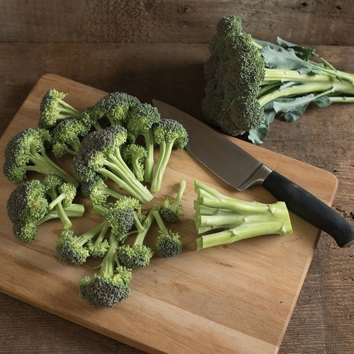 Broccoli 'Monflor' F1