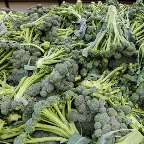 Broccoli 'Monflor' F1