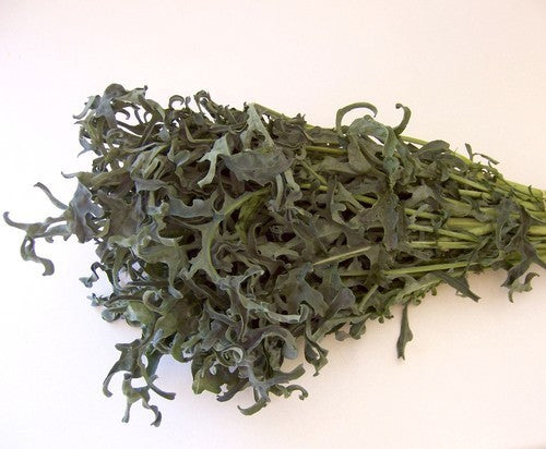 Bladbroccoli 'Minestra Nera'
