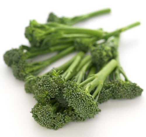 Stengelbroccoli 'Creamy Broccy' F1 / 'Montebello' F1