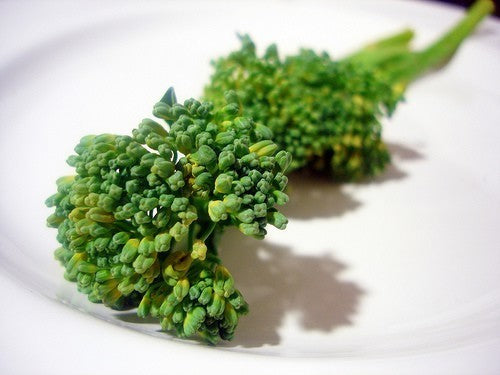 Stengelbroccoli 'Creamy Broccy' F1 / 'Montebello' F1