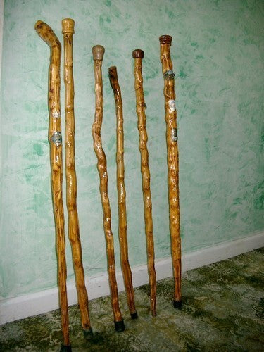 MergKool 'Jersey Tree' / 'Walking Stick Cabbage' / 'Asturian'