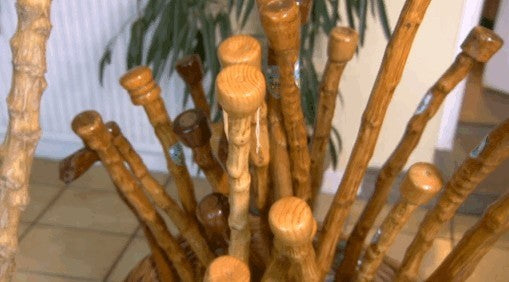 MergKool 'Jersey Tree' / 'Walking Stick Cabbage' / 'Asturian'