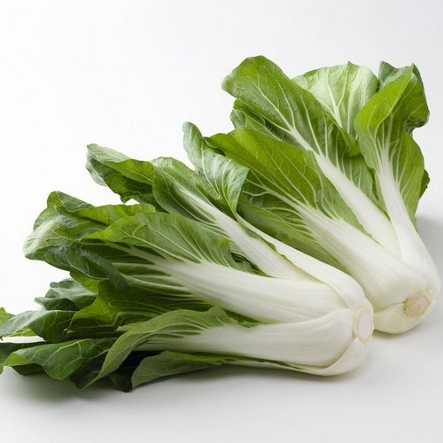 Bok Choy 'Bopak' F1 / 'Compak' F1