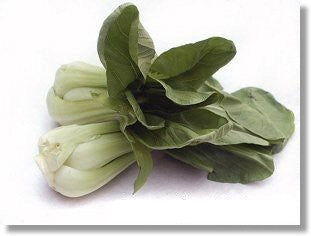 Shanghai Paksoi 'Mei Qing Choi' F1 / 'Brisk Green' F1 / 'May'