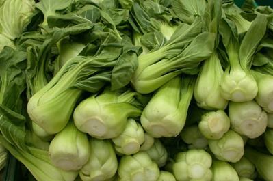 Shanghai Paksoi 'Mei Qing Choi' F1 / 'Brisk Green' F1 / 'May'
