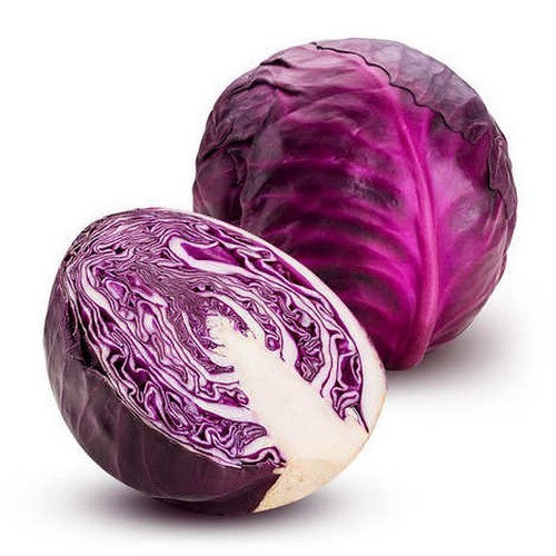 Red Cabbage 'Klimaro' F1