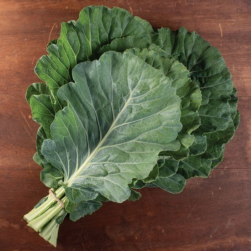 SnijKool of BladKool 'Top Bunch' F1