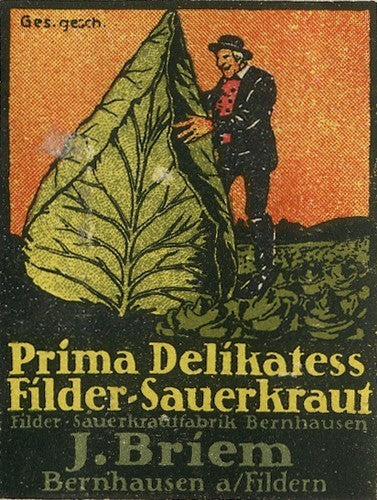 Pointed Cabbage 'Filderkraut'