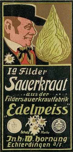 Pointed Cabbage 'Filderkraut'