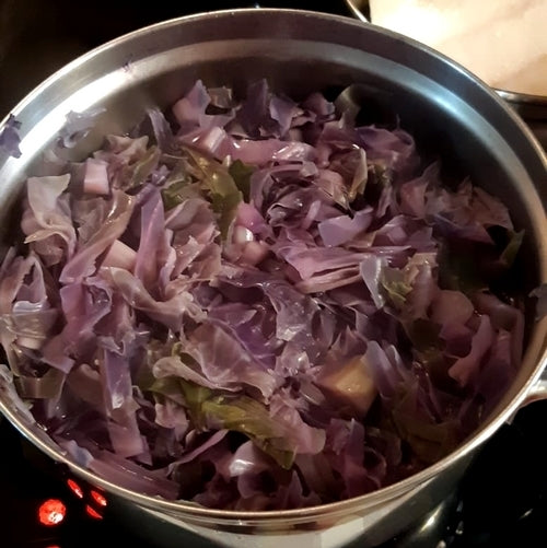 Red Cabbage 'Kalibos'