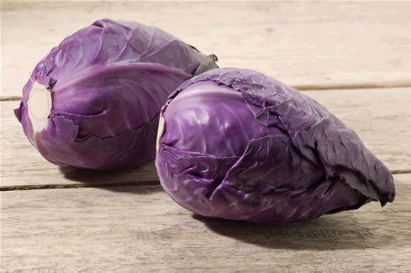 Red Cabbage 'Kalibos'