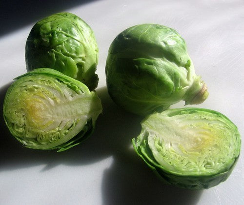 Groene Spruitkool 'Long Island (Improved)'