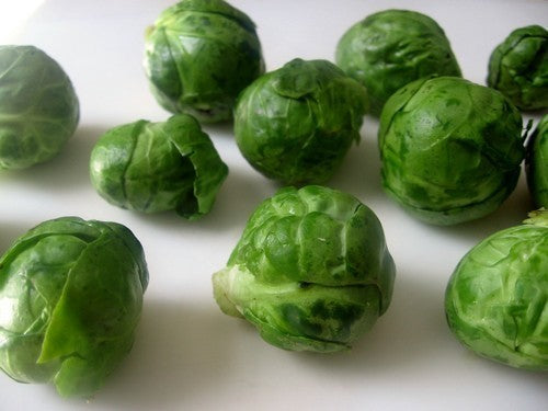 Groene Spruitkool 'Long Island (Improved)'