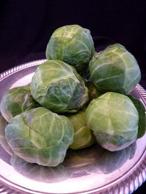 Groene Spruitkool 'Long Island (Improved)'