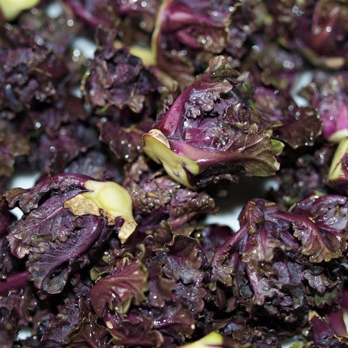 Roosjes Spruitkool 'Petit Posy' / Flower Sprouts 'Autumn Sta'