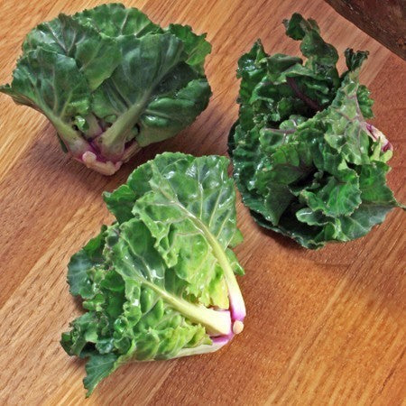 Roosjes Spruitkool 'Petit Posy' / Flower Sprouts 'Autumn Sta'