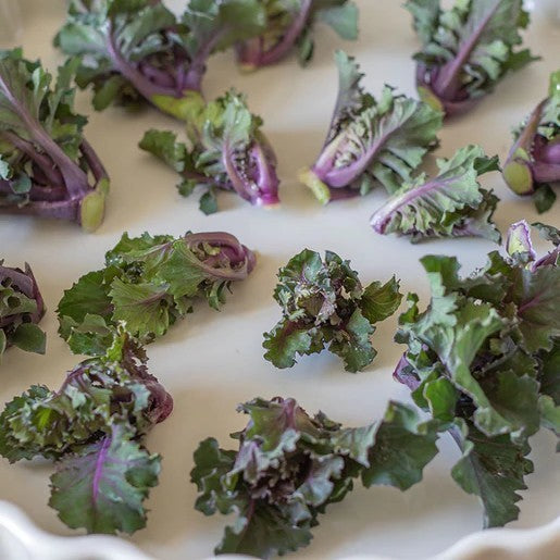 Roosjes Spruitkool 'Petit Posy' / Flower Sprouts 'Autumn Sta'