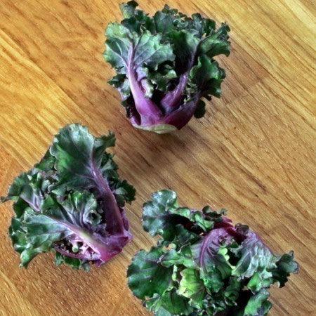 Roosjes Spruitkool 'Petit Posy' / Flower Sprouts 'Autumn Sta'