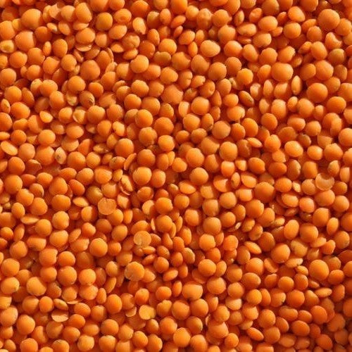 Lentils, Red