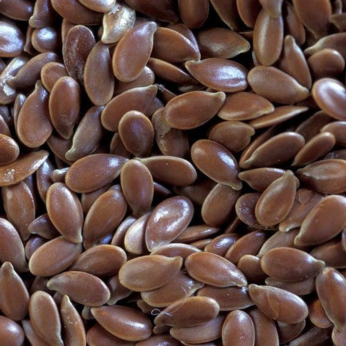 Linseed 'Astella'