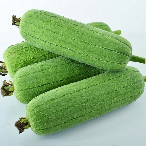 Sponge zucchini 'Seven Star' F1