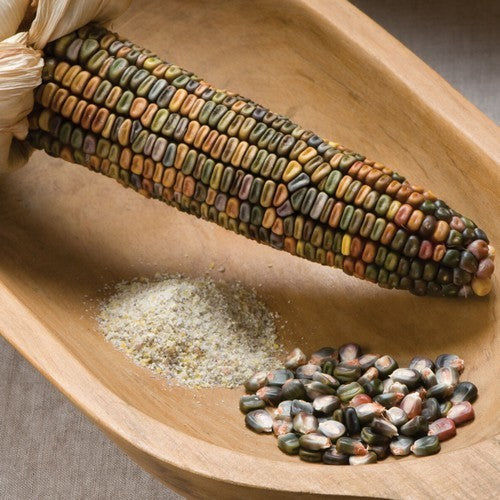 Bak- en Siermaïs 'Earth Tones Dent Corn'