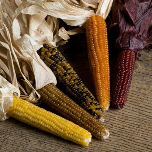 Popcorn 'Mini Mix'