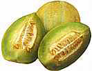 Cantaloupmeloen 'Groene Ananas' / 'Ananas d'Amerique à C