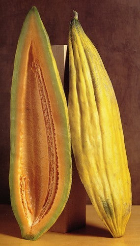 Cantaloupmeloen 'Banana'