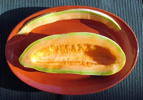 Cantaloupmeloen 'Banana'