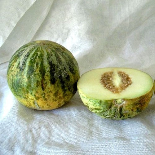 Melons 'Banana di Lentigione'
