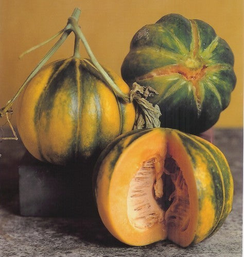 Echte Cantaloupmeloen 'Early Black Rock' / 'Noir des Car'