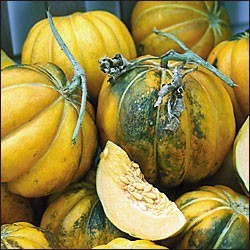 Echte Cantaloupmeloen 'Early Black Rock' / 'Noir des Car'