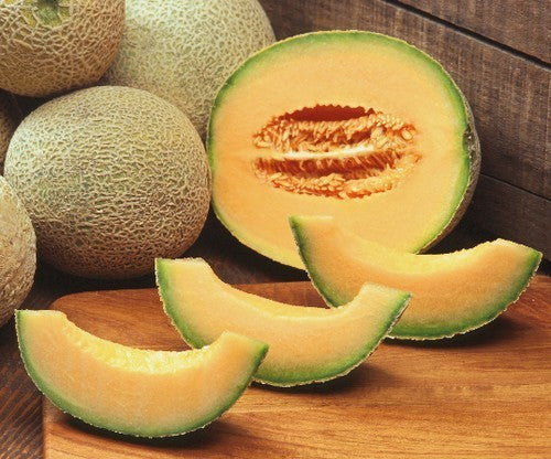 Echte Cantaloupmeloen 'Emir' F1